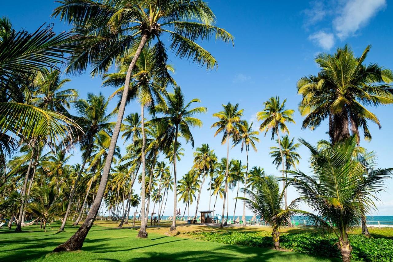 Paraiso Na Terra - Carneiros Beach Resort Tamandaré Eksteriør bilde